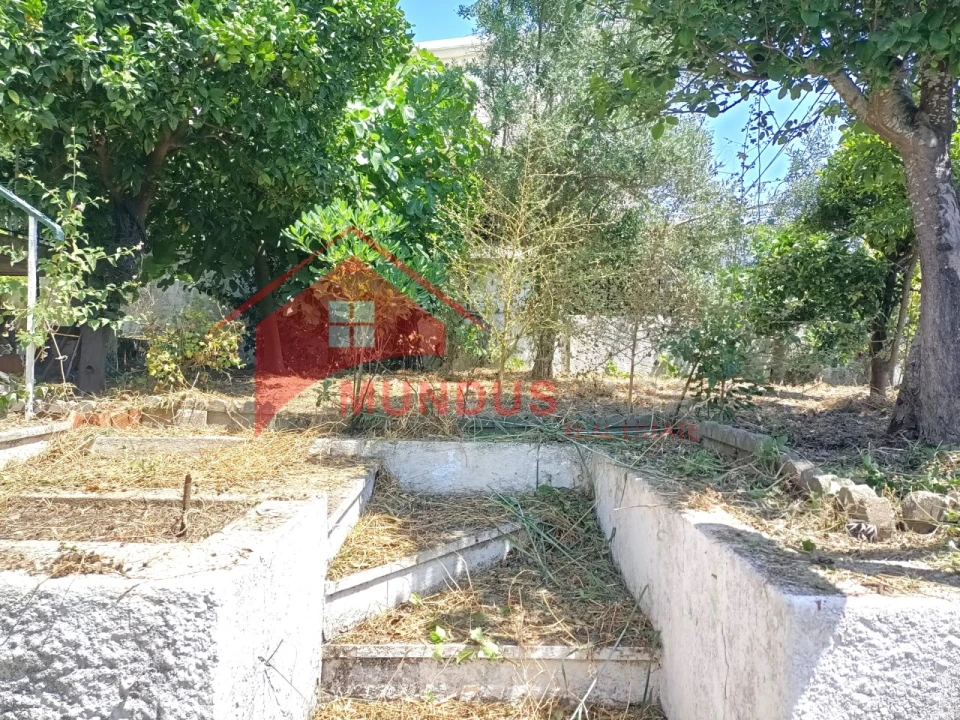 Moradia T3 para Venda em Sesimbra (Castelo) Foto 44