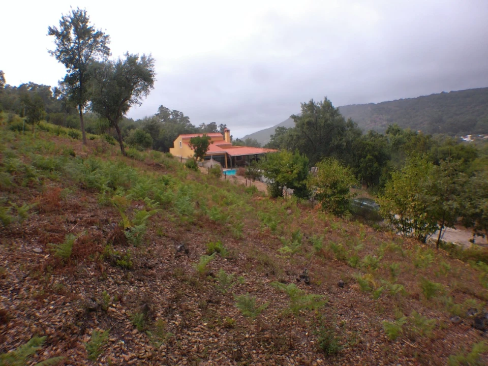 Moradia T3 para Venda em Ribeira de Nisa e Carreiras Foto 4