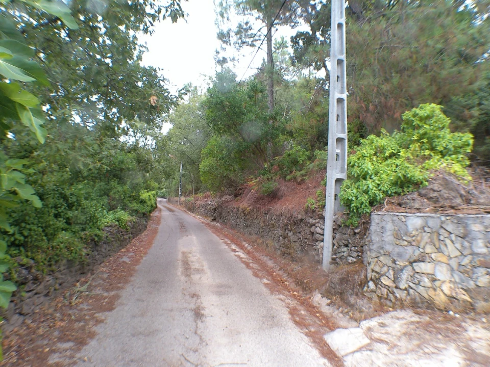 Moradia T3 para Venda em Ribeira de Nisa e Carreiras Foto 7