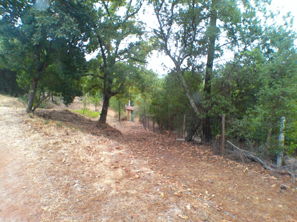 Moradia T3 para Venda em Ribeira de Nisa e Carreiras Foto 11