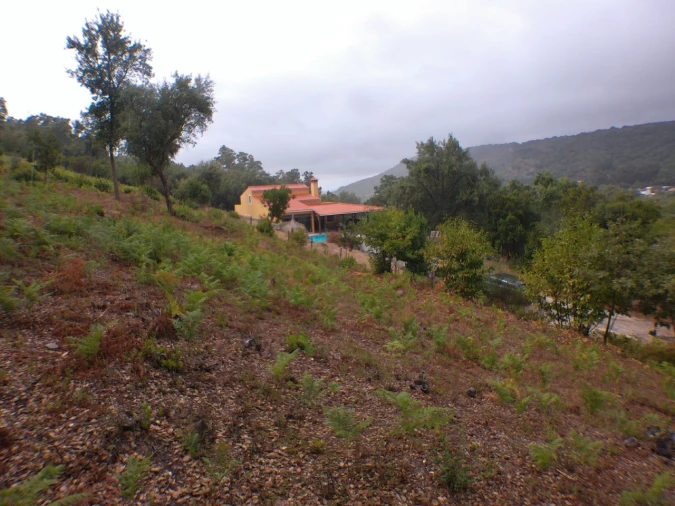 Moradia T3 para Venda em Ribeira de Nisa e Carreiras Foto 4