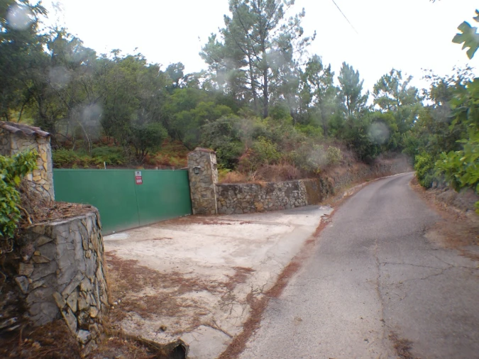 Moradia T3 para Venda em Ribeira de Nisa e Carreiras Foto 5