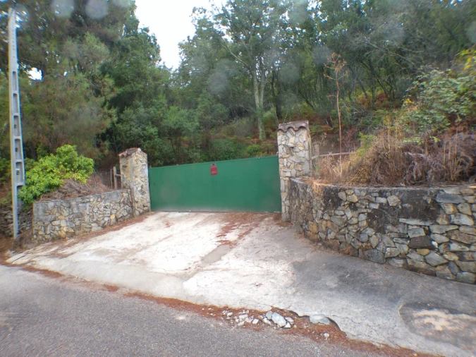 Moradia T3 para Venda em Ribeira de Nisa e Carreiras Foto 6