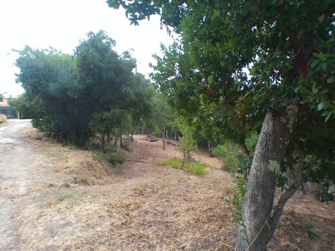 Moradia T3 para Venda em Ribeira de Nisa e Carreiras Foto 10