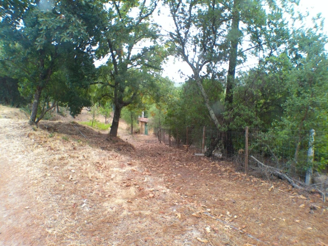 Moradia T3 para Venda em Ribeira de Nisa e Carreiras Foto 11