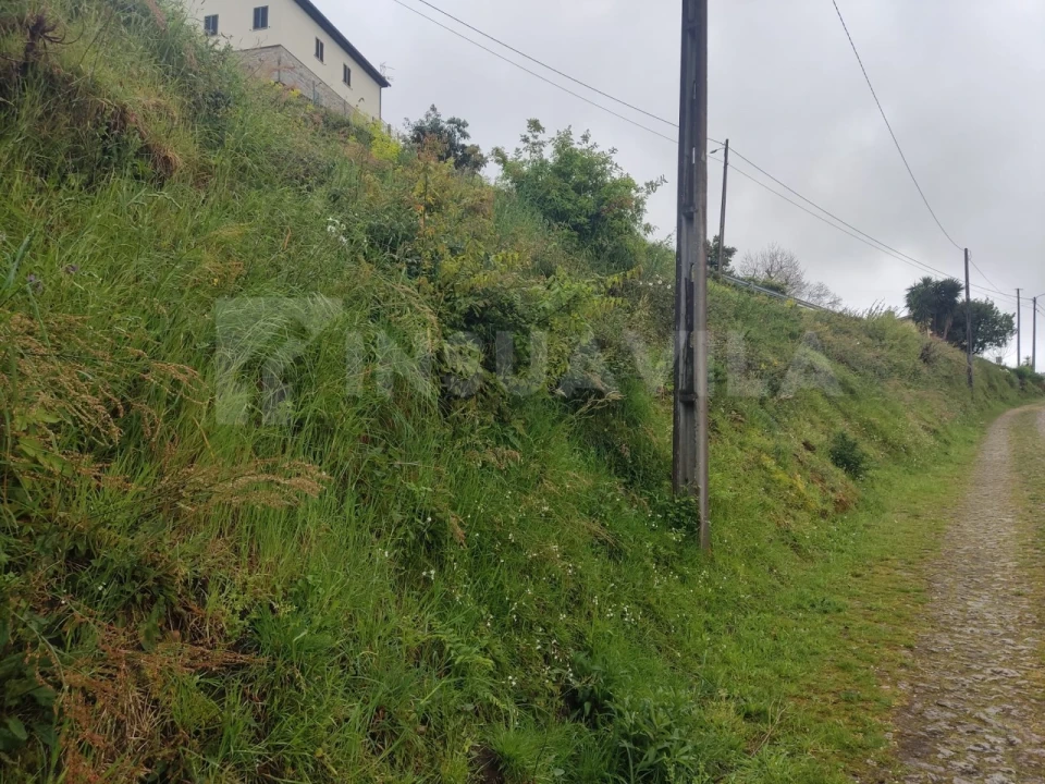 Terreno para Venda em Gondarem Foto 5