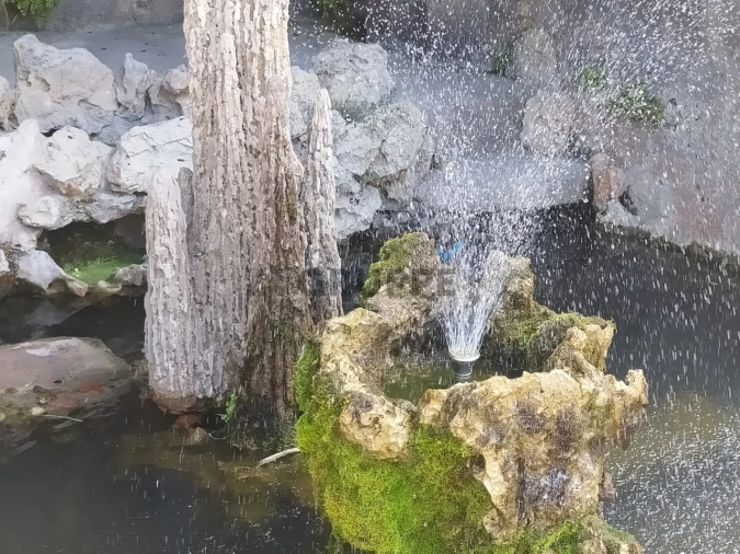 Apartamento T2 para Venda em Glória e Vera Cruz Foto 28