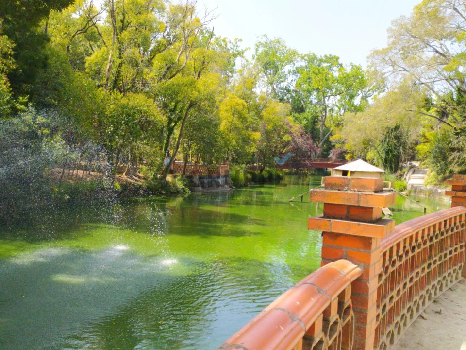 Apartamento T3 para Venda em Glória e Vera Cruz Foto 31