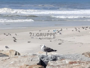 Apartamento T3 para Venda em Glória e Vera Cruz