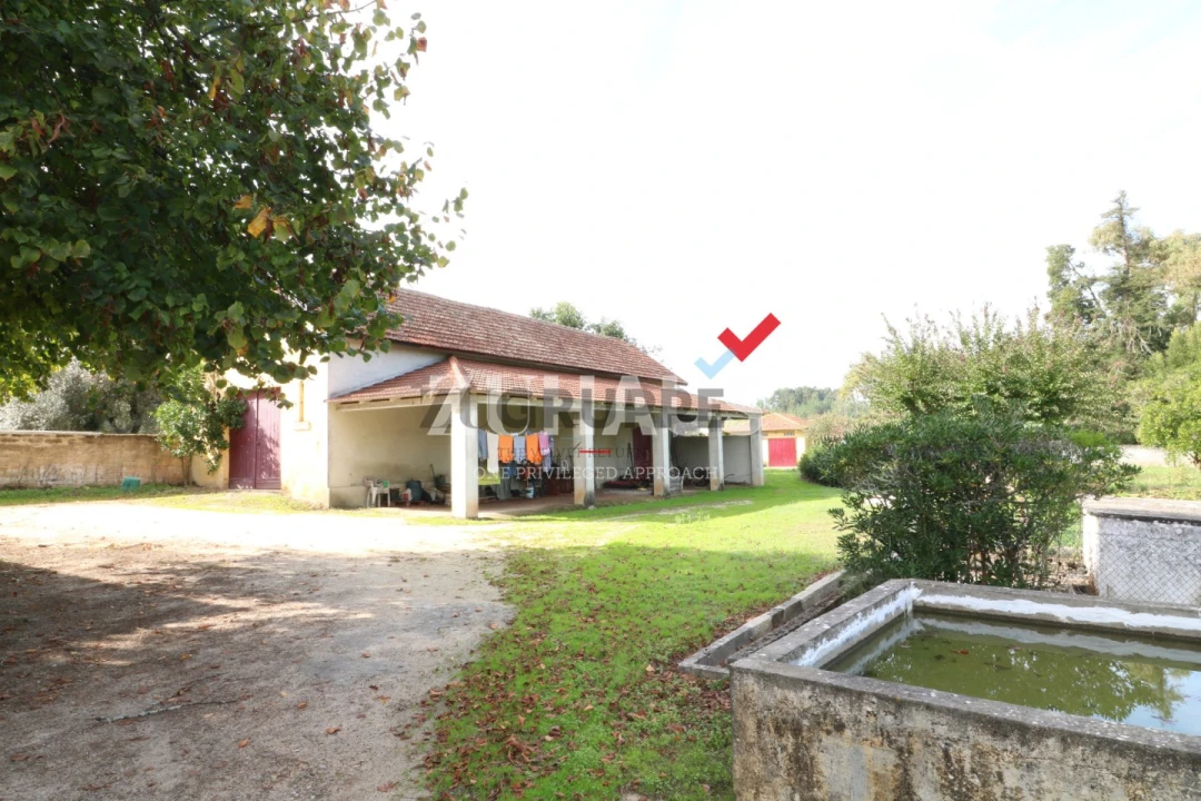 Moradia T7 para Venda em Arcos e Mogofores Foto 12