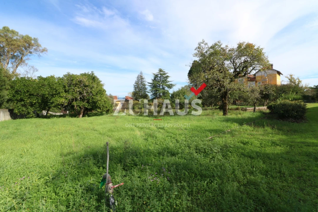 Moradia T7 para Venda em Arcos e Mogofores Foto 16