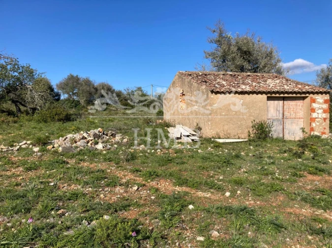Terreno Agricola ou Rústico para Venda em Mexilhoeira Grande Foto 2