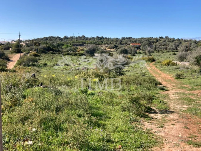 Terreno Agricola ou Rústico para Venda em Mexilhoeira Grande Foto 5
