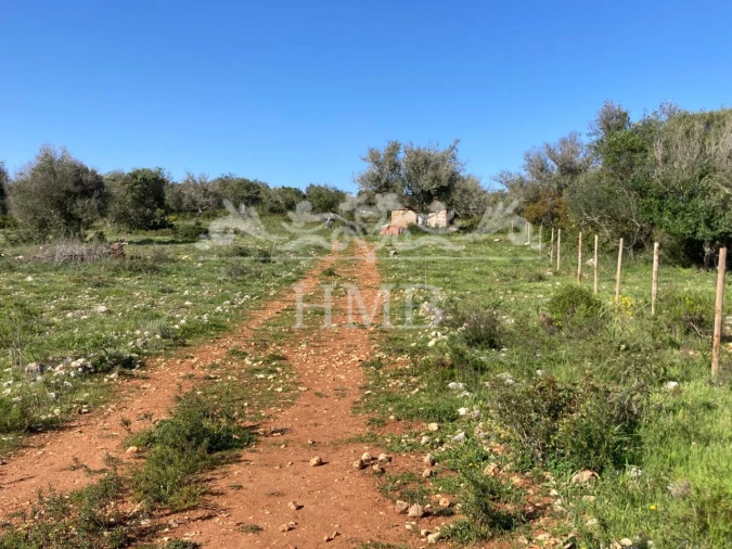 Terreno Agricola ou Rústico para Venda em Mexilhoeira Grande Foto 8