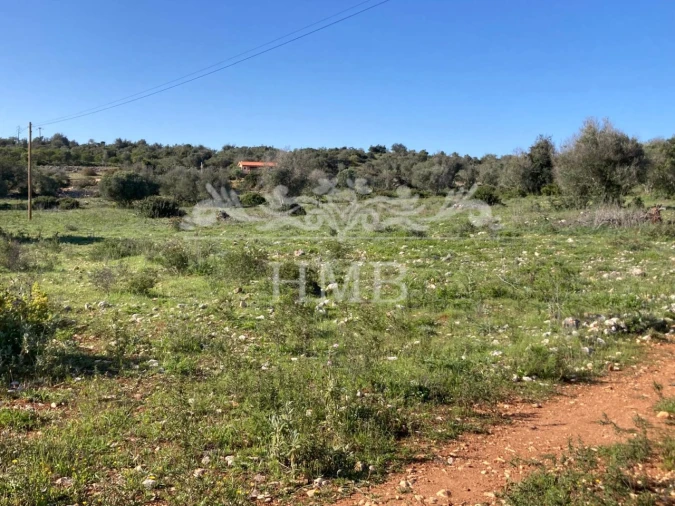 Terreno Agricola ou Rústico para Venda em Mexilhoeira Grande Foto 9