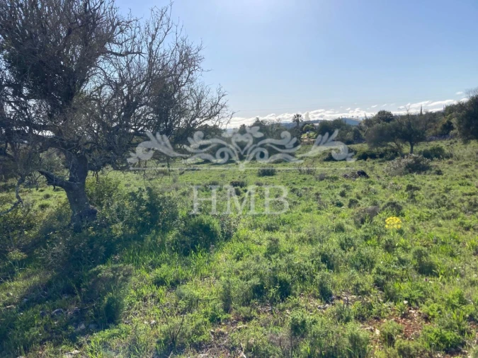Terreno Agricola ou Rústico para Venda em Mexilhoeira Grande Foto 10