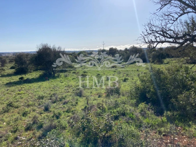 Terreno Agricola ou Rústico para Venda em Mexilhoeira Grande Foto 11