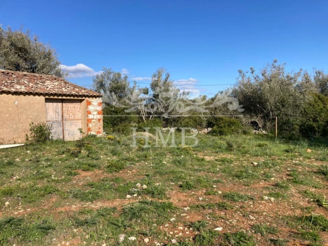 Terreno Agricola ou Rústico para Venda em Mexilhoeira Grande Foto 13