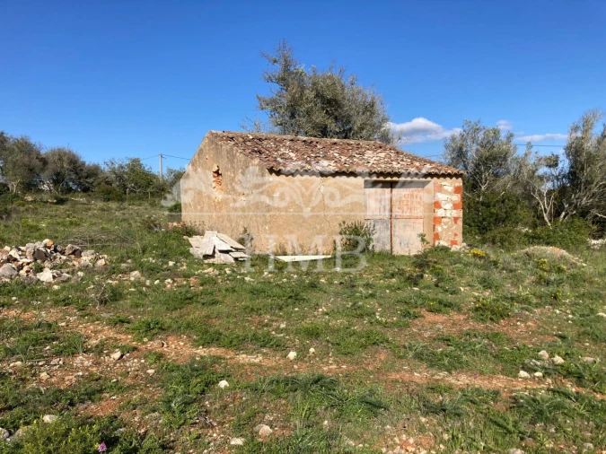 Terreno Agricola ou Rústico para Venda em Mexilhoeira Grande Foto 14