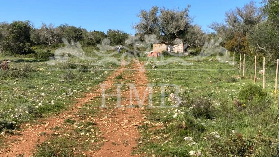 Terreno Agricola ou Rústico para Venda em Mexilhoeira Grande