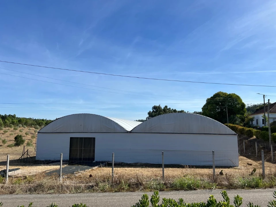 Terreno para Arrendamento em Alcaravela Foto 1