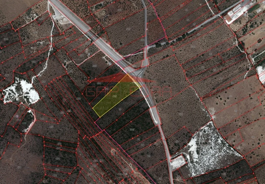 Terreno para Venda em Nossa Senhora da Conceição e São Bartolomeu Foto 4