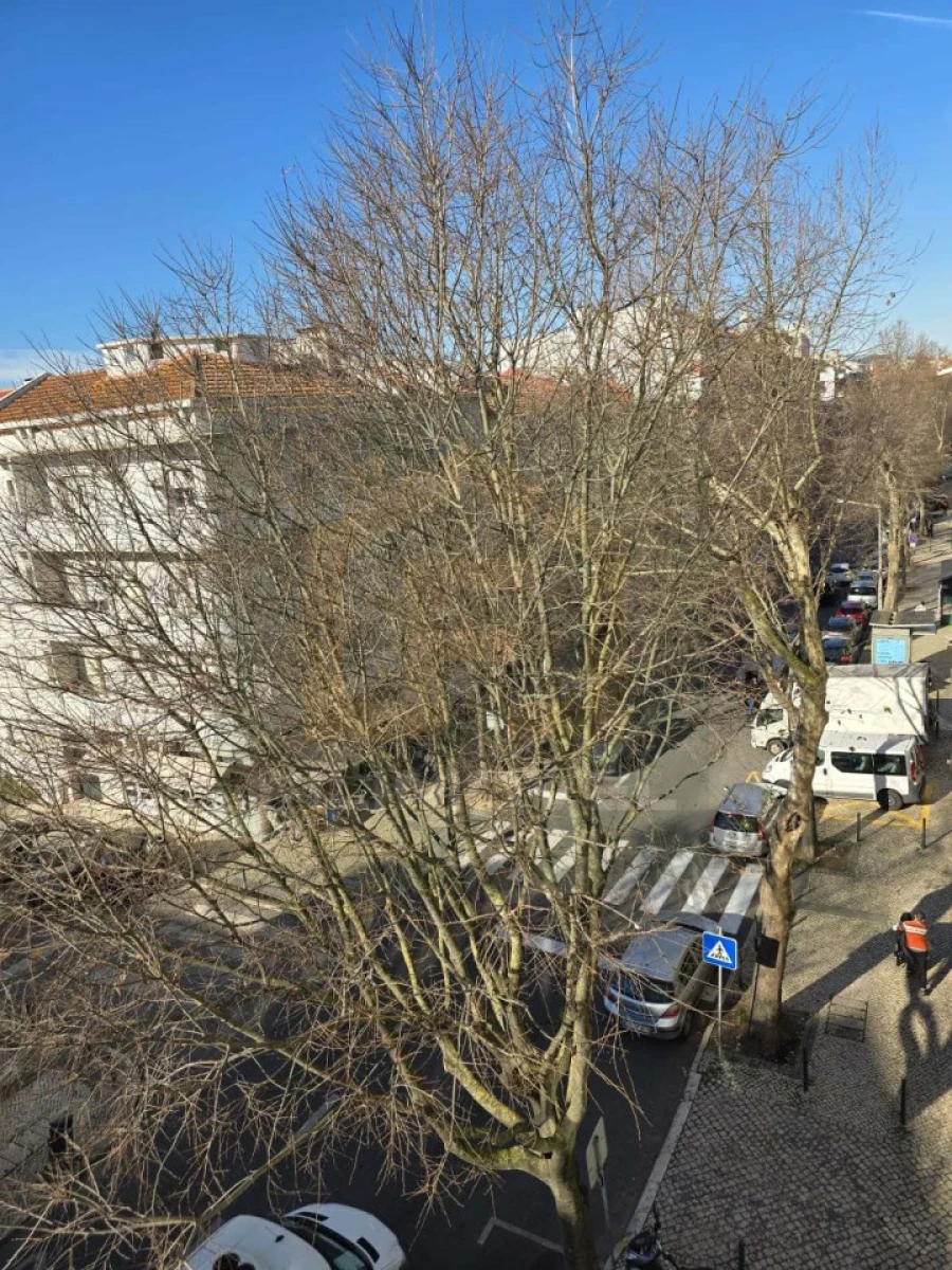 Quarto para Arrendamento em Benfica Foto 12