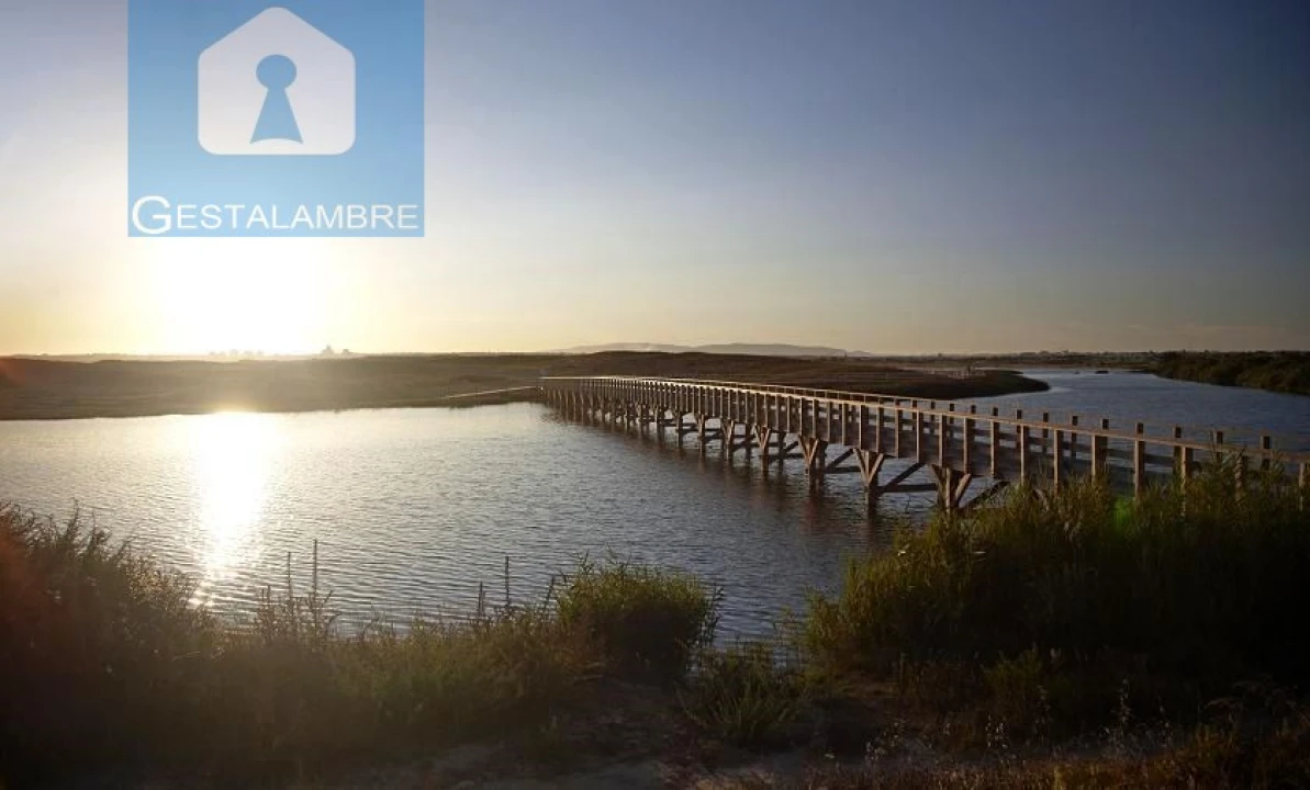 Apartamento T2 para Venda em Guia Foto 48