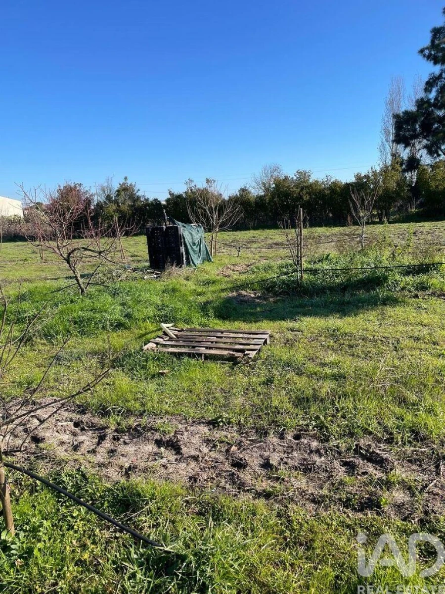 Terreno para Venda em Poceirão e Marateca Foto 4