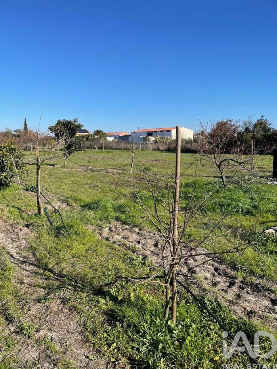 Terreno para Venda em Poceirão e Marateca Foto 7