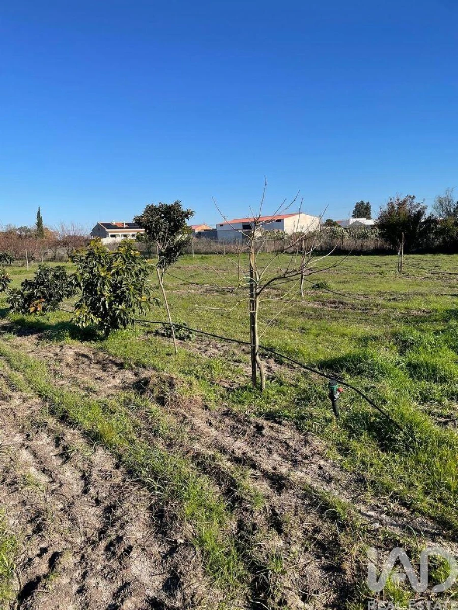 Terreno para Venda em Poceirão e Marateca Foto 6