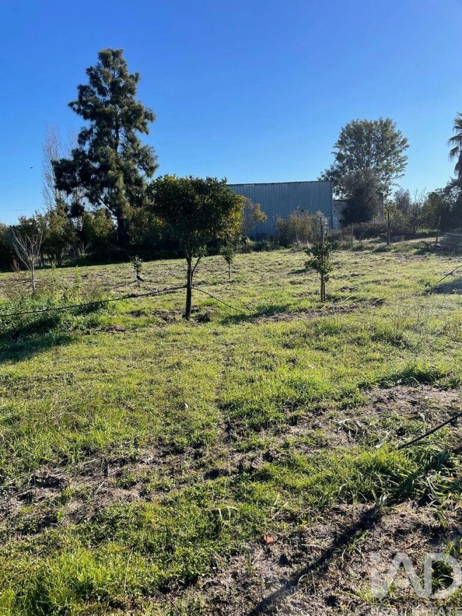 Terreno para Venda em Poceirão e Marateca Foto 1