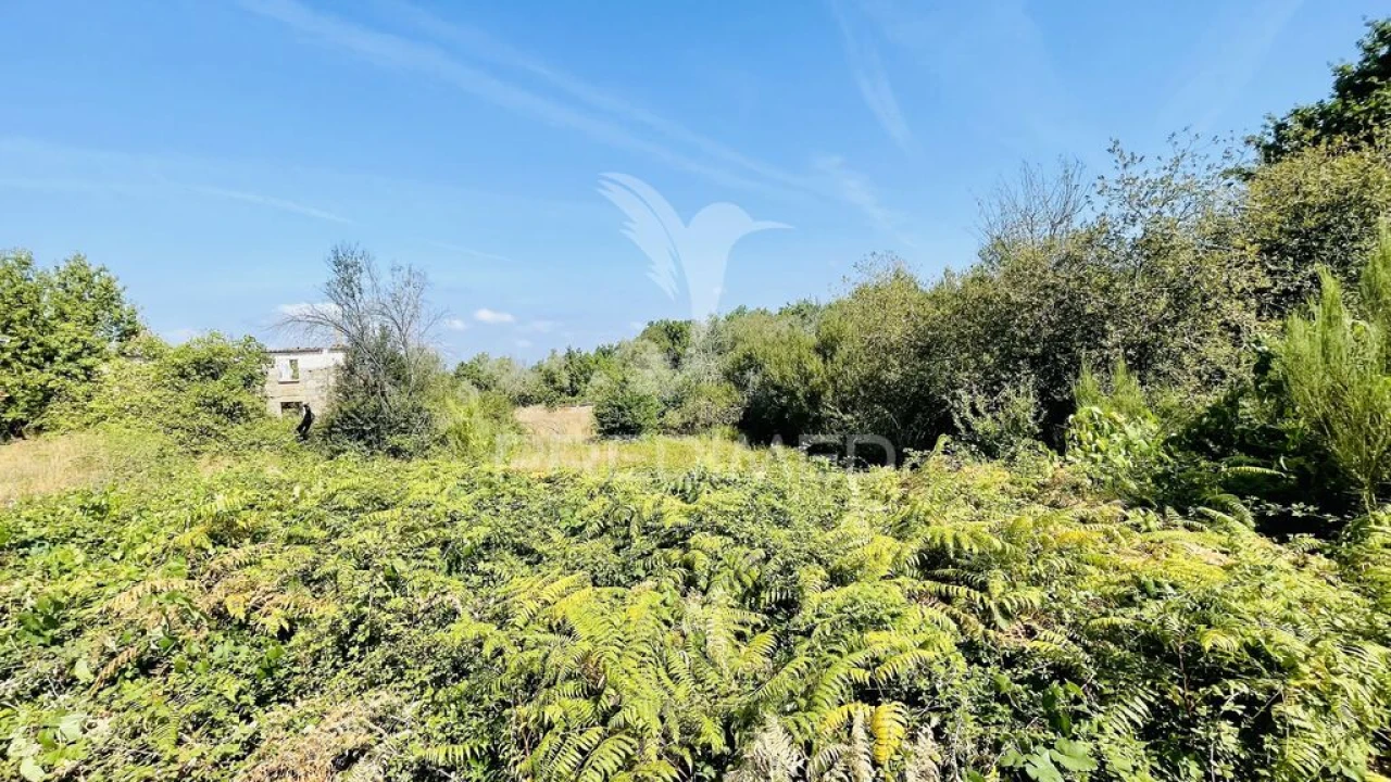 Terreno para Venda em Covas e Vila Nova de Oliveirinha Foto 11