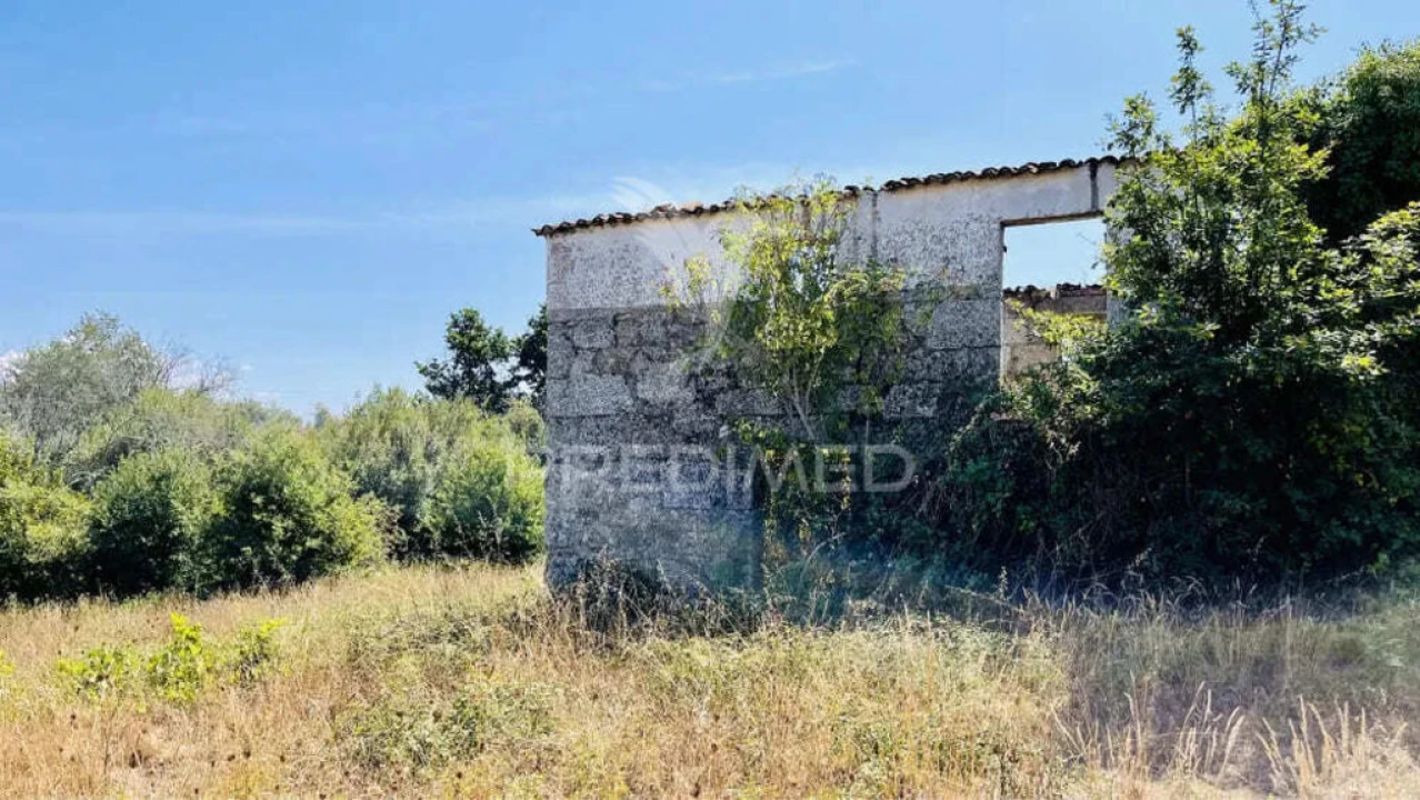Terreno para Venda em Covas e Vila Nova de Oliveirinha Foto 6