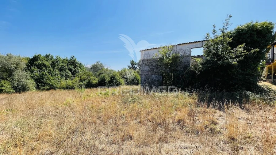 Terreno para Venda em Covas e Vila Nova de Oliveirinha Foto 13