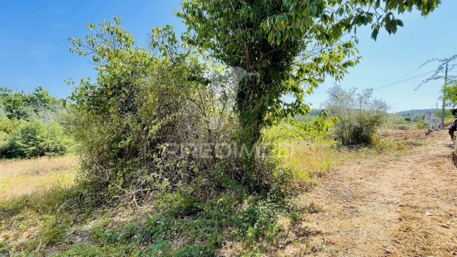 Terreno para Venda em Covas e Vila Nova de Oliveirinha Foto 12