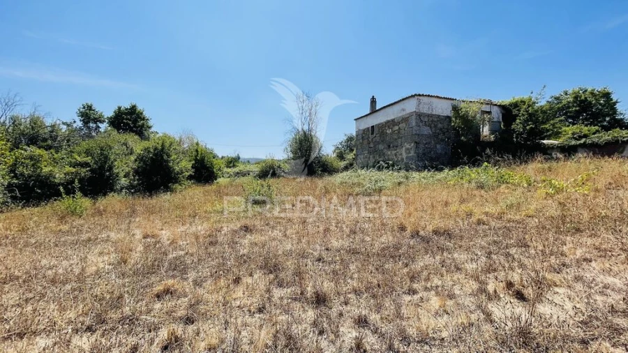 Terreno para Venda em Covas e Vila Nova de Oliveirinha Foto 15