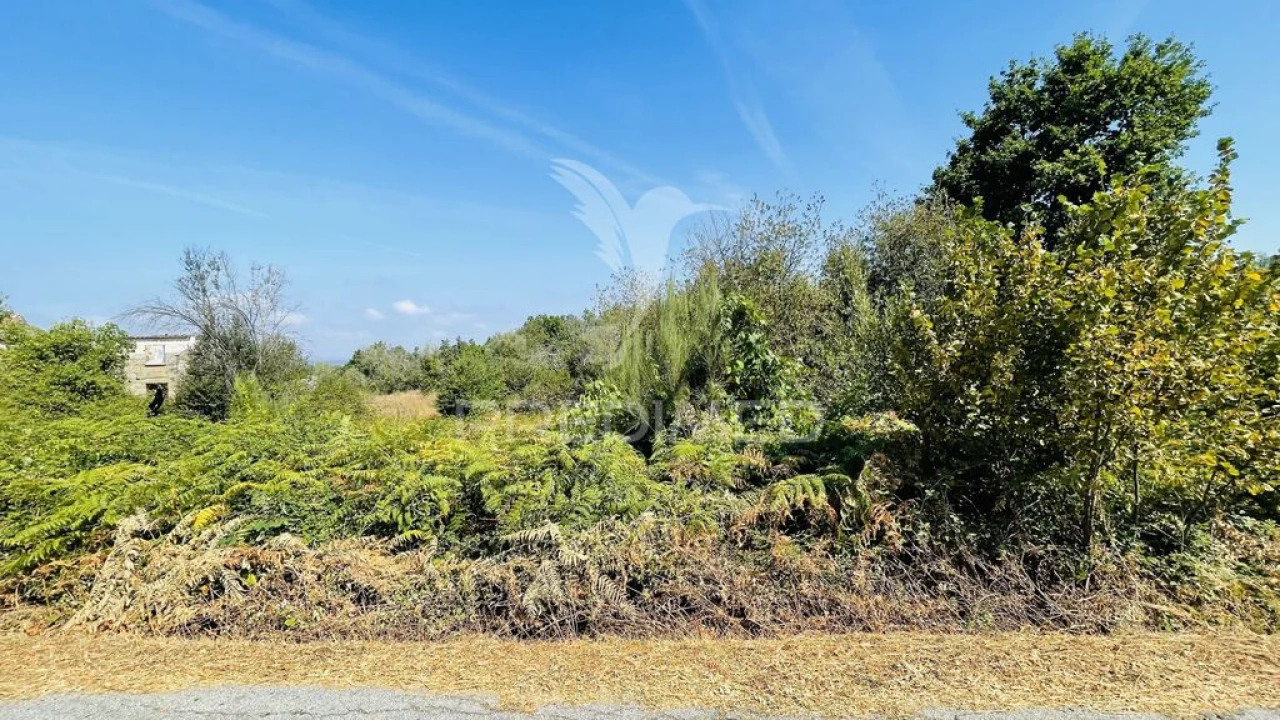 Terreno para Venda em Covas e Vila Nova de Oliveirinha Foto 10