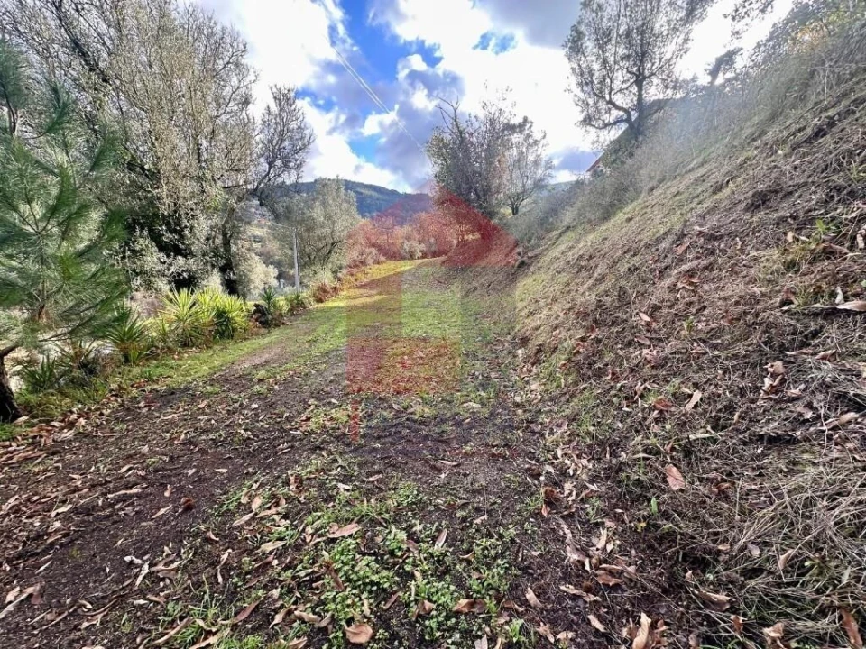 Moradia T3 para Venda em Gondufe Foto 21