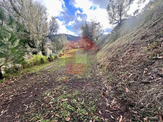 Moradia T3 para Venda em Gondufe Foto 21