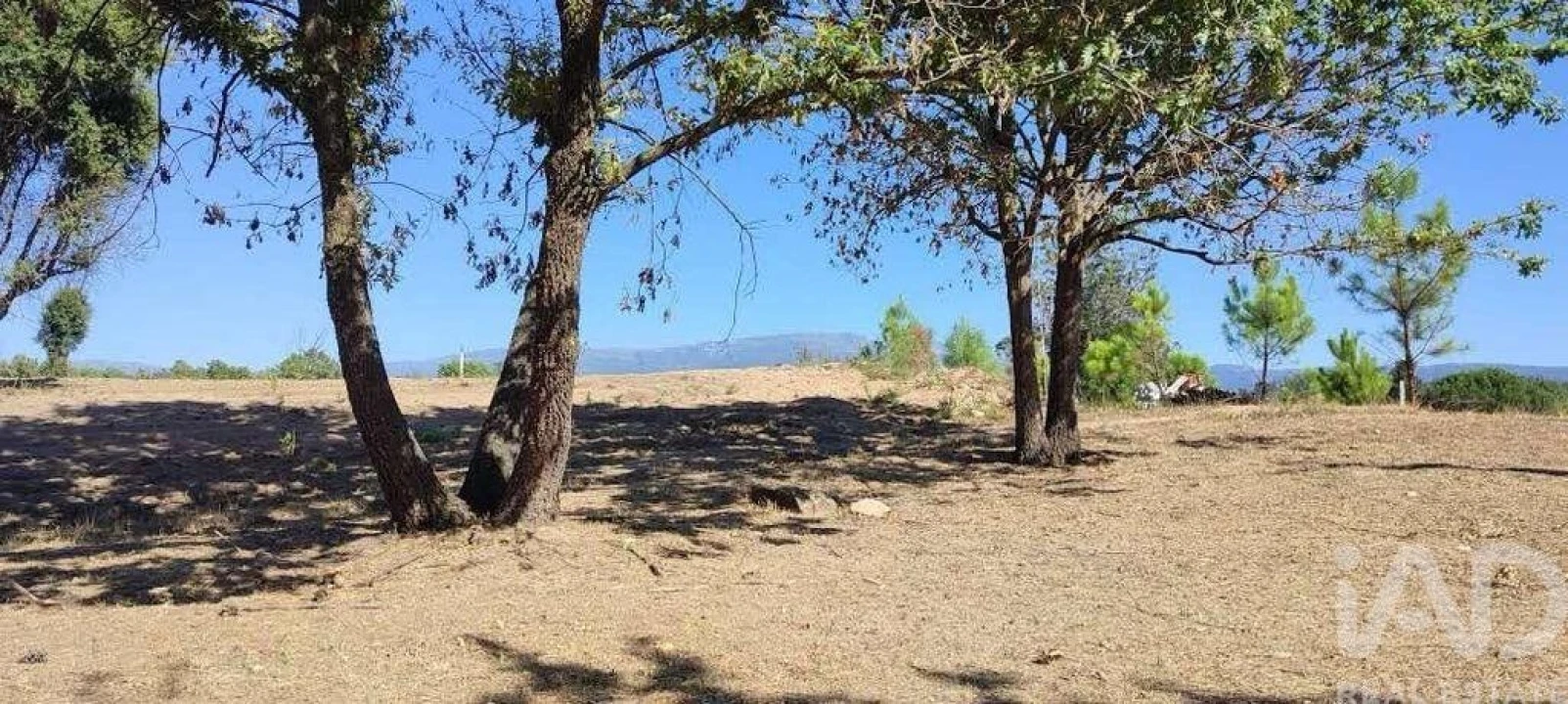 Quinta para Venda em Sameice e Santa Eulália Foto 4