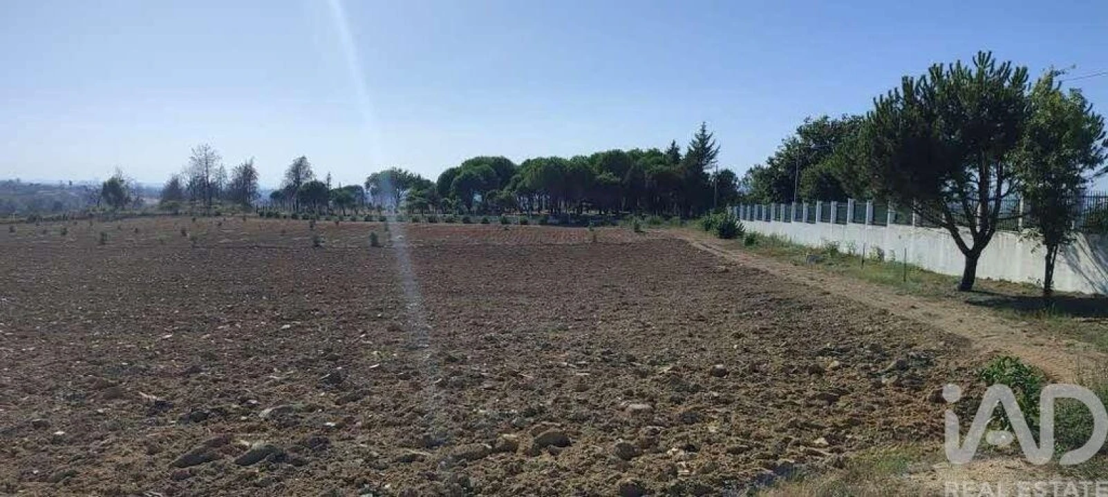 Quinta para Venda em Sameice e Santa Eulália Foto 3