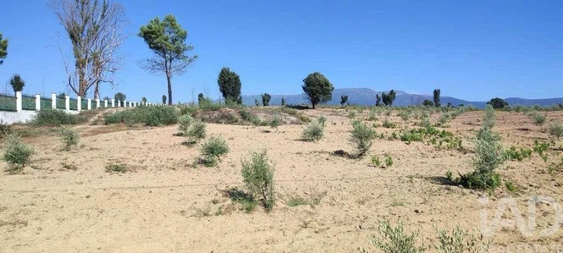 Quinta para Venda em Sameice e Santa Eulália Foto 19