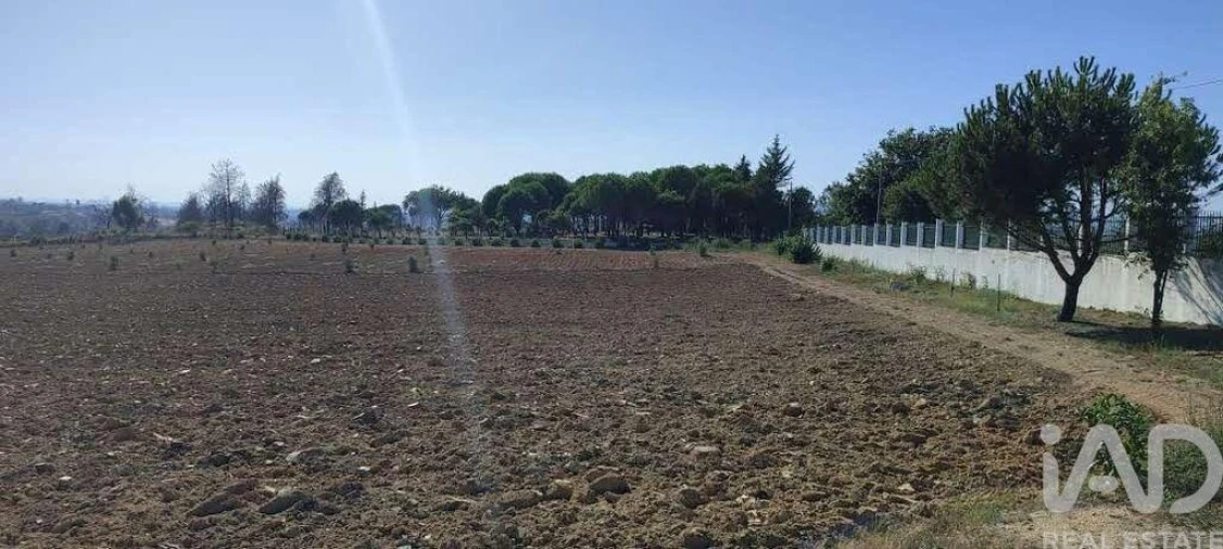 Quinta para Venda em Sameice e Santa Eulália Foto 3