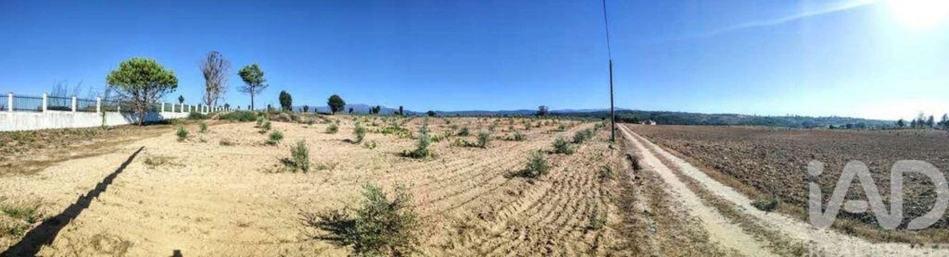 Quinta para Venda em Sameice e Santa Eulália Foto 22