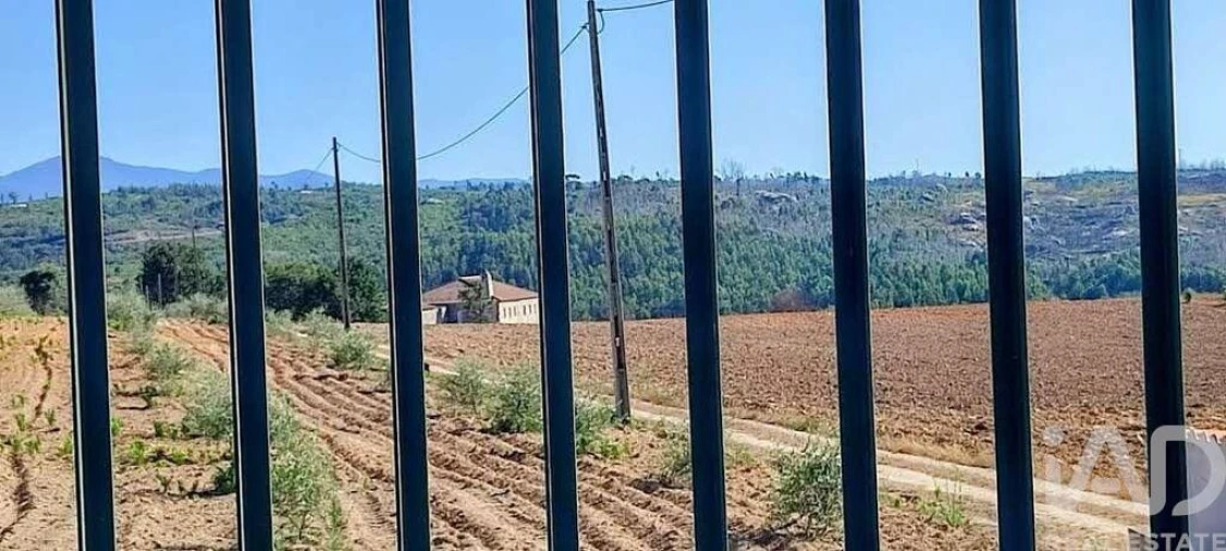 Quinta para Venda em Sameice e Santa Eulália Foto 28