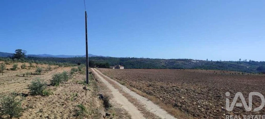 Quinta para Venda em Sameice e Santa Eulália Foto 21
