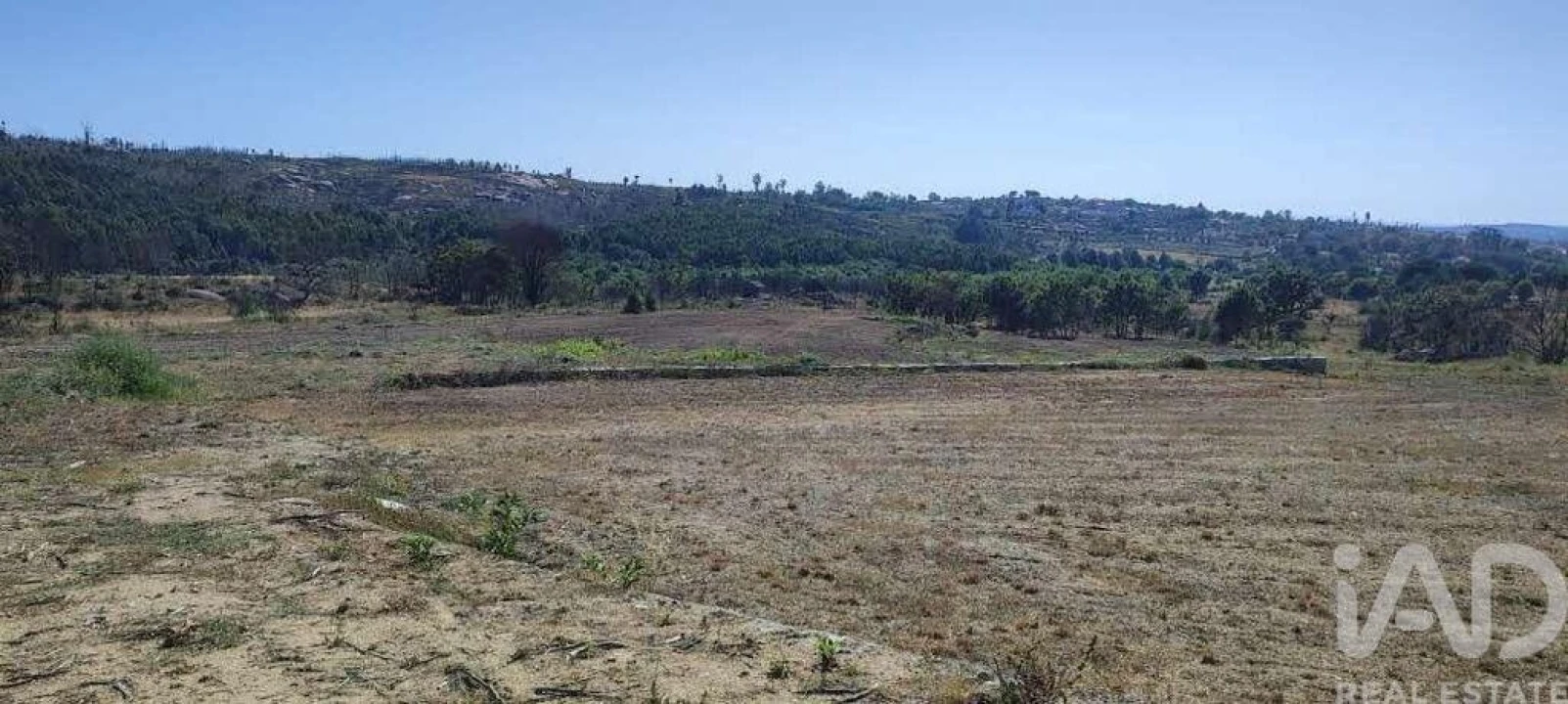 Quinta para Venda em Sameice e Santa Eulália Foto 7