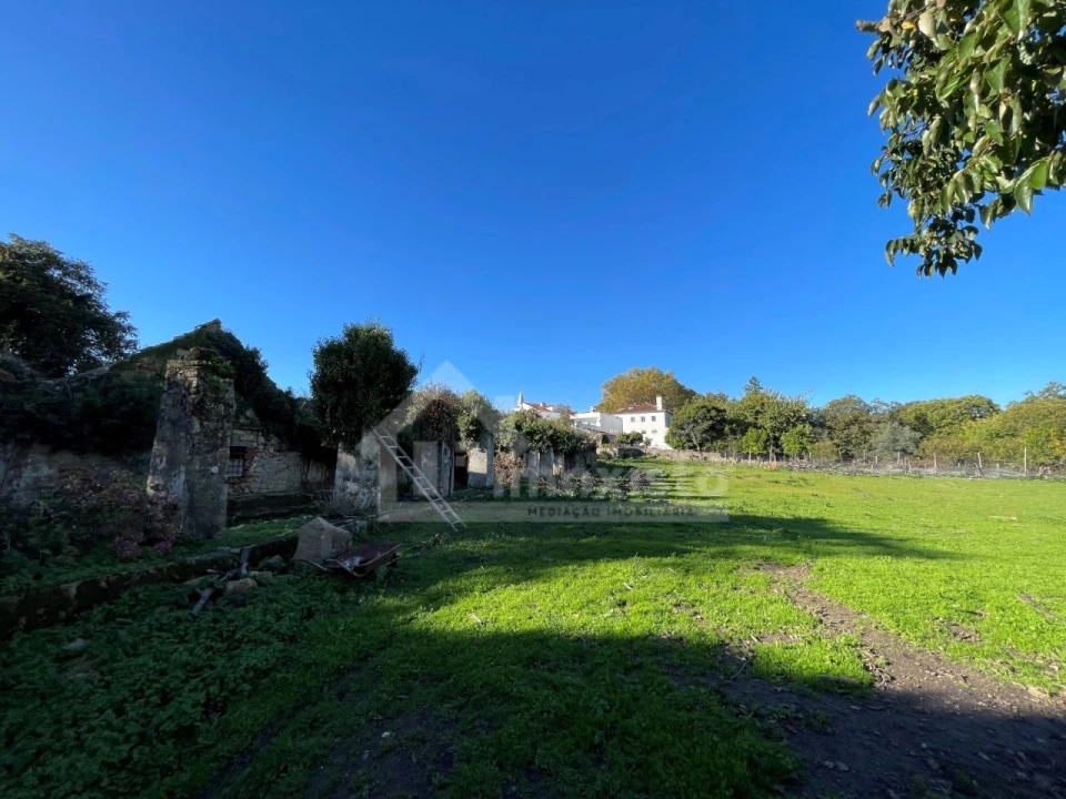 Quinta T6 para Venda em Figueiró dos Vinhos e Bairradas Foto 25