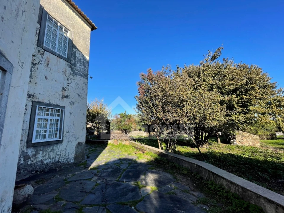 Quinta T6 para Venda em Figueiró dos Vinhos e Bairradas Foto 31